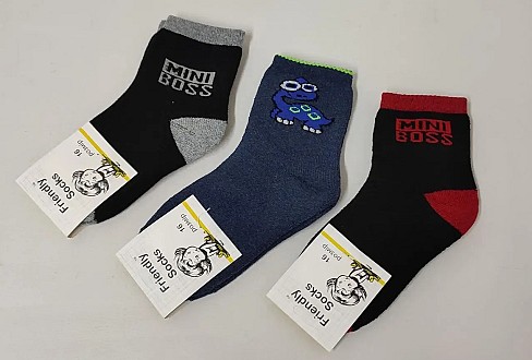 Шкарпетки дитячі Friendly Socks 3031016-003 середні махрові різні кольори р.16